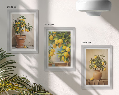 Conjunto de 3 quadros decorativos Limoeiros em vasos e floreiras