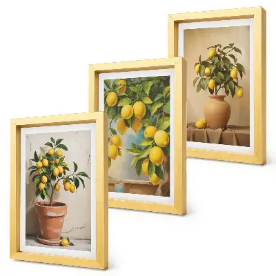 Conjunto de 3 quadros decorativos com estampas de limoeiros em vasos e floreiras