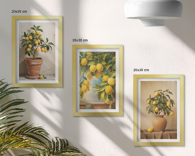 Conjunto de 3 quadros decorativos Limoeiros em vasos e floreiras