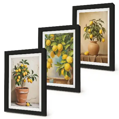 Conjunto de 3 quadros decorativos com estampas de limoeiros em vasos e floreiras