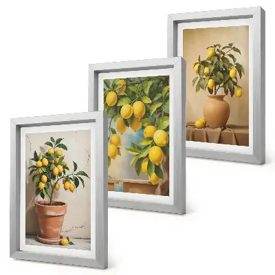 Conjunto de 3 quadros decorativos com estampas de limoeiros em vasos e floreiras