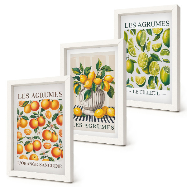 Conjunto de molduras com imagens Frutas cítricas em diversas versões coloridas e frescas.
