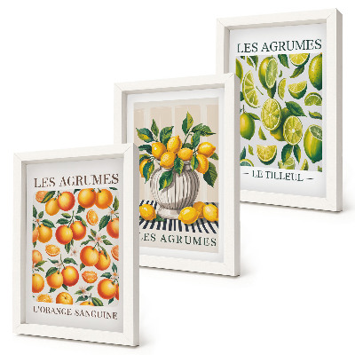 Conjunto de molduras com imagens Frutas cítricas em diversas versões coloridas e frescas.