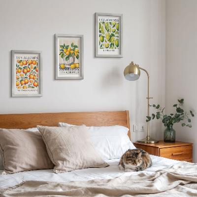 Conjunto de molduras com imagens Frutas cítricas em diversas versões coloridas e frescas.