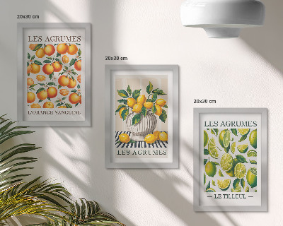 Conjunto de molduras com imagens Frutas cítricas em diversas versões coloridas e frescas.