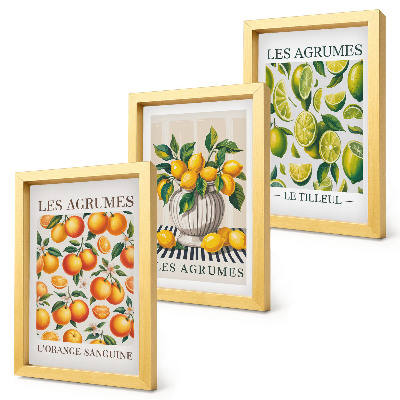 Conjunto de molduras com imagens Frutas cítricas em diversas versões coloridas e frescas.