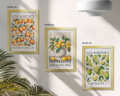 Conjunto de molduras com imagens Frutas cítricas em diversas versões coloridas e frescas.