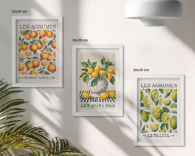 Conjunto de molduras com imagens Frutas cítricas em diversas versões coloridas e frescas.