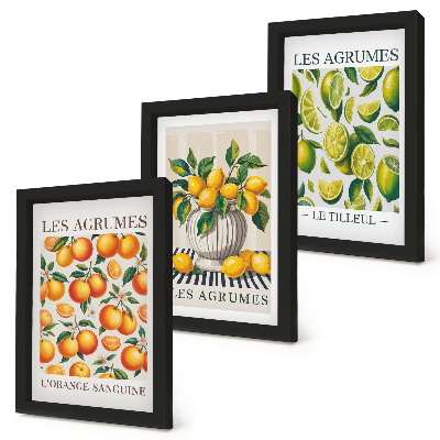 Conjunto de molduras com imagens Frutas cítricas em diversas versões coloridas e frescas.