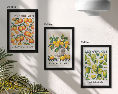 Conjunto de molduras com imagens Frutas cítricas em diversas versões coloridas e frescas.