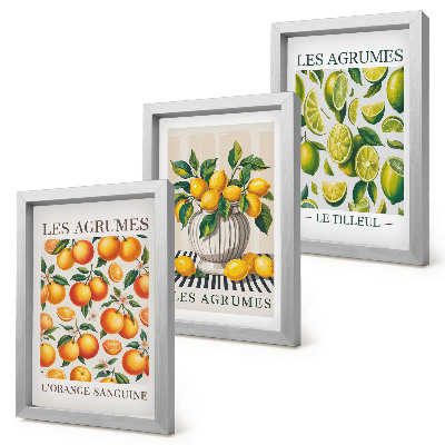 Conjunto de molduras com imagens Frutas cítricas em diversas versões coloridas e frescas.