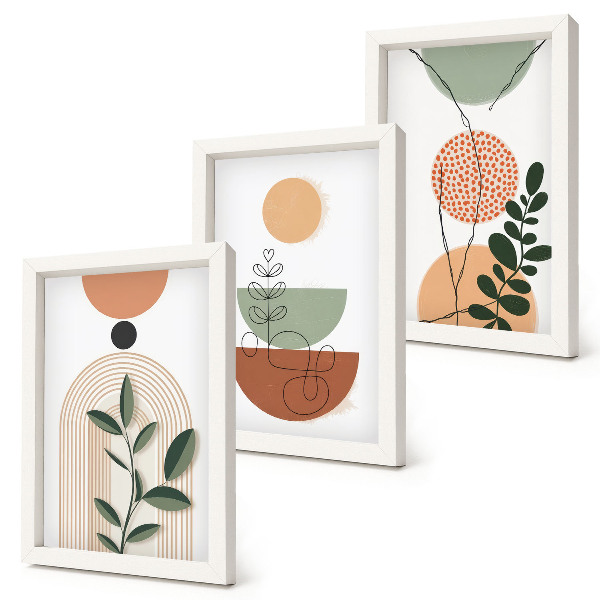 Conjunto de molduras com imagens Formas abstratas com motivos vegetais coloridos