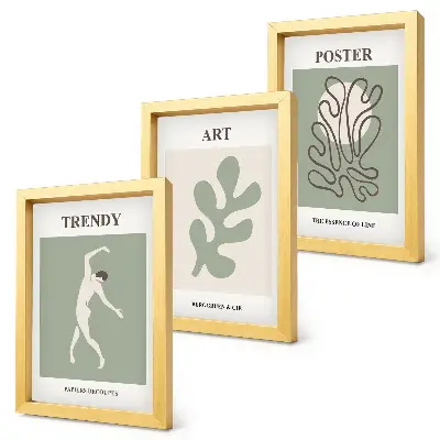 Conjunto de 3 quadros decorativos com figuras abstratas e motivos vegetais em cores suaves