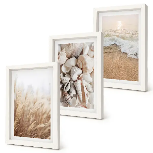 Conjunto de molduras com imagens com motivos de praia de conchas e ondas do mar