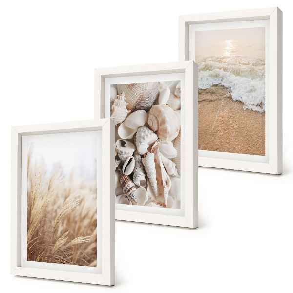 Conjunto de molduras com imagens Motivos de praia com conchas e ondas do mar