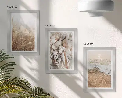 Conjunto de molduras com imagens com motivos de praia de conchas e ondas do mar