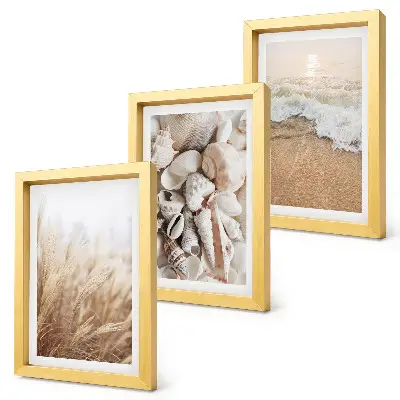 Conjunto de molduras com imagens com motivos de praia de conchas e ondas do mar