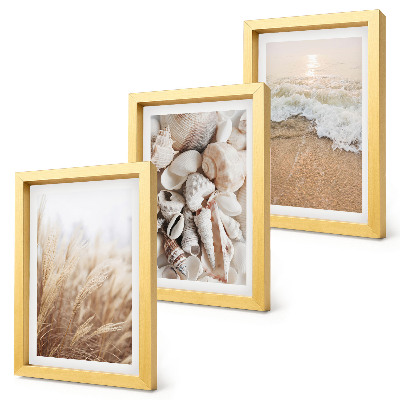 Conjunto de molduras com imagens Motivos de praia com conchas e ondas do mar