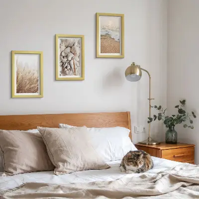 Conjunto de molduras com imagens com motivos de praia de conchas e ondas do mar