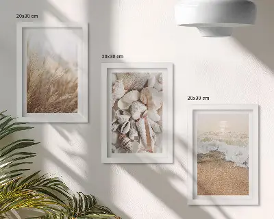 Conjunto de molduras com imagens com motivos de praia de conchas e ondas do mar