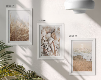 Conjunto de molduras com imagens Motivos de praia com conchas e ondas do mar