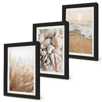 Conjunto de molduras com imagens com motivos de praia de conchas e ondas do mar