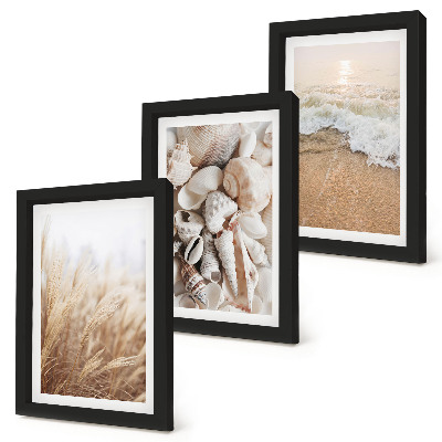 Conjunto de molduras com imagens Motivos de praia com conchas e ondas do mar