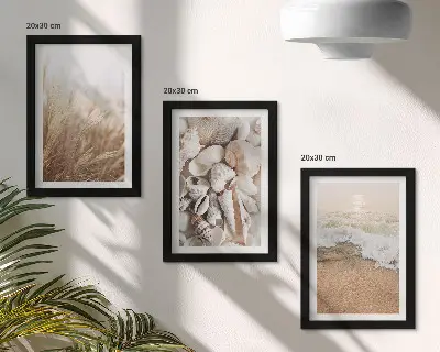 Conjunto de molduras com imagens com motivos de praia de conchas e ondas do mar
