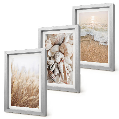 Conjunto de molduras com imagens Motivos de praia com conchas e ondas do mar