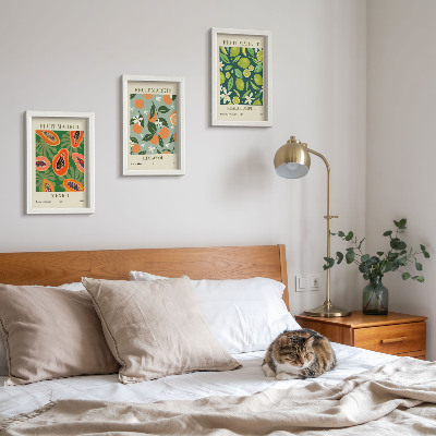 Conjunto de 3 quadros decorativos pôsteres vintage com estampas de frutas