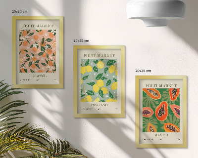 Conjunto de 3 quadros decorativos Frutas cítricas e tropicais em estilo retrô