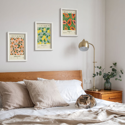 Conjunto de 3 quadros decorativos Frutas cítricas e tropicais em estilo retrô