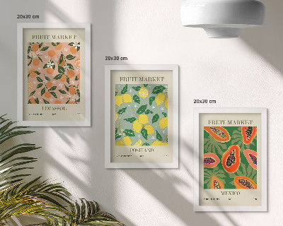 Conjunto de 3 quadros decorativos Frutas cítricas e tropicais em estilo retrô