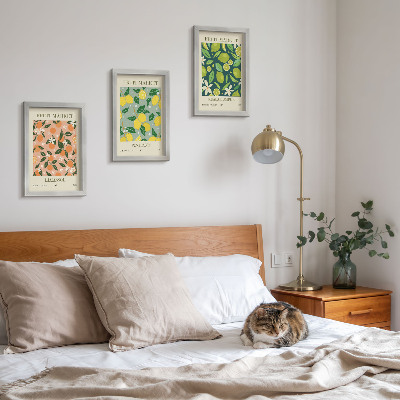 Conjunto de molduras com imagens Padrões frutados com frutas cítricas e flores vintage.