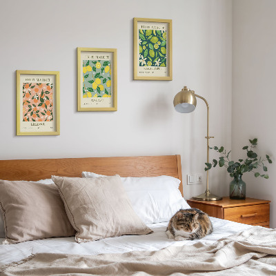 Conjunto de molduras com imagens Padrões frutados com frutas cítricas e flores vintage.