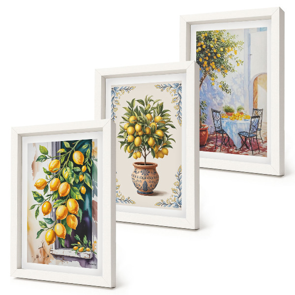 Conjunto de molduras com imagens Limoeiros e frutos em um local ensolarado