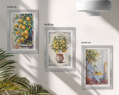 Conjunto de molduras com imagens Limoeiros e frutos em um local ensolarado