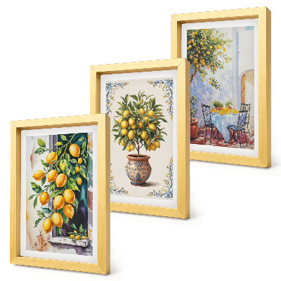 Conjunto de molduras com imagens Limoeiros e frutos em um local ensolarado