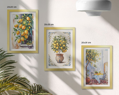Conjunto de molduras com imagens Limoeiros e frutos em um local ensolarado