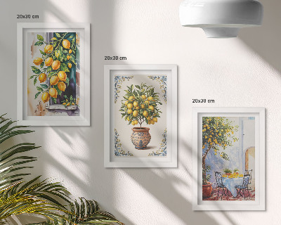 Conjunto de molduras com imagens Limoeiros e frutos em um local ensolarado