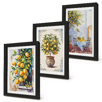 Conjunto de molduras com imagens Limoeiros e frutos em um local ensolarado