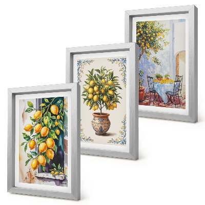 Conjunto de molduras com imagens Limoeiros e frutos em um local ensolarado