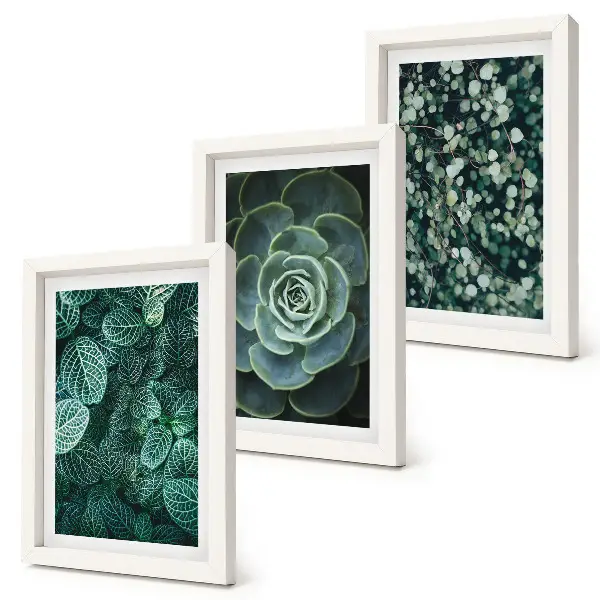 Conjunto de molduras com artes de plantas folhas verdes de suculentas e galhos delicados