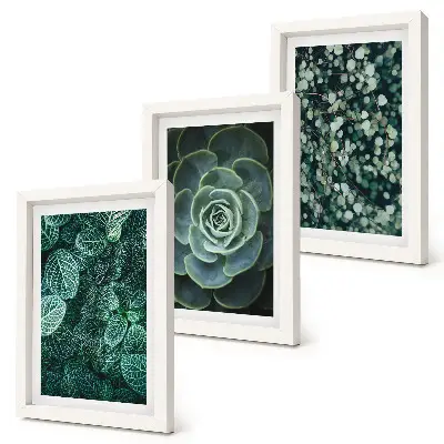 Conjunto de molduras com artes de plantas folhas verdes de suculentas e galhos delicados
