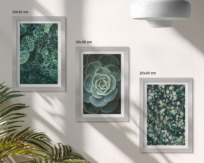 Conjunto de molduras com imagens Folhas verdes de plantas suculentas e galhos delicados