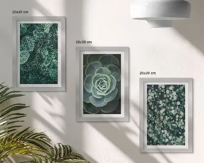 Conjunto de molduras com artes de plantas folhas verdes de suculentas e galhos delicados