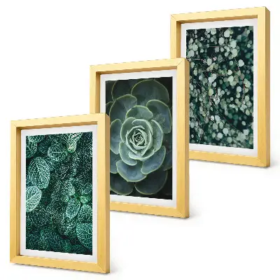Conjunto de molduras com artes de plantas folhas verdes de suculentas e galhos delicados