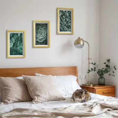 Conjunto de molduras com artes de plantas folhas verdes de suculentas e galhos delicados