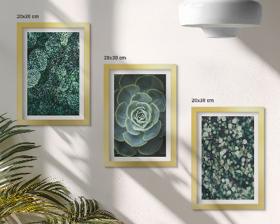 Conjunto de molduras com imagens Folhas verdes de plantas suculentas e galhos delicados