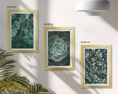Conjunto de molduras com artes de plantas folhas verdes de suculentas e galhos delicados